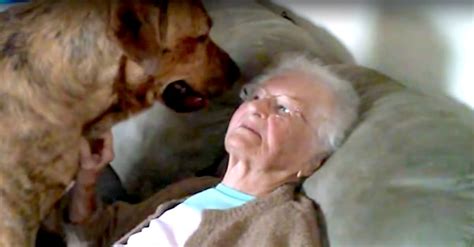 granny dog porn|Most Relevant Videos .